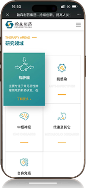 高端网站建设_捷瑞数字