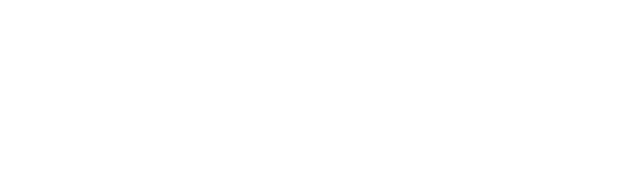 陕西法士特汽车传动集团公司